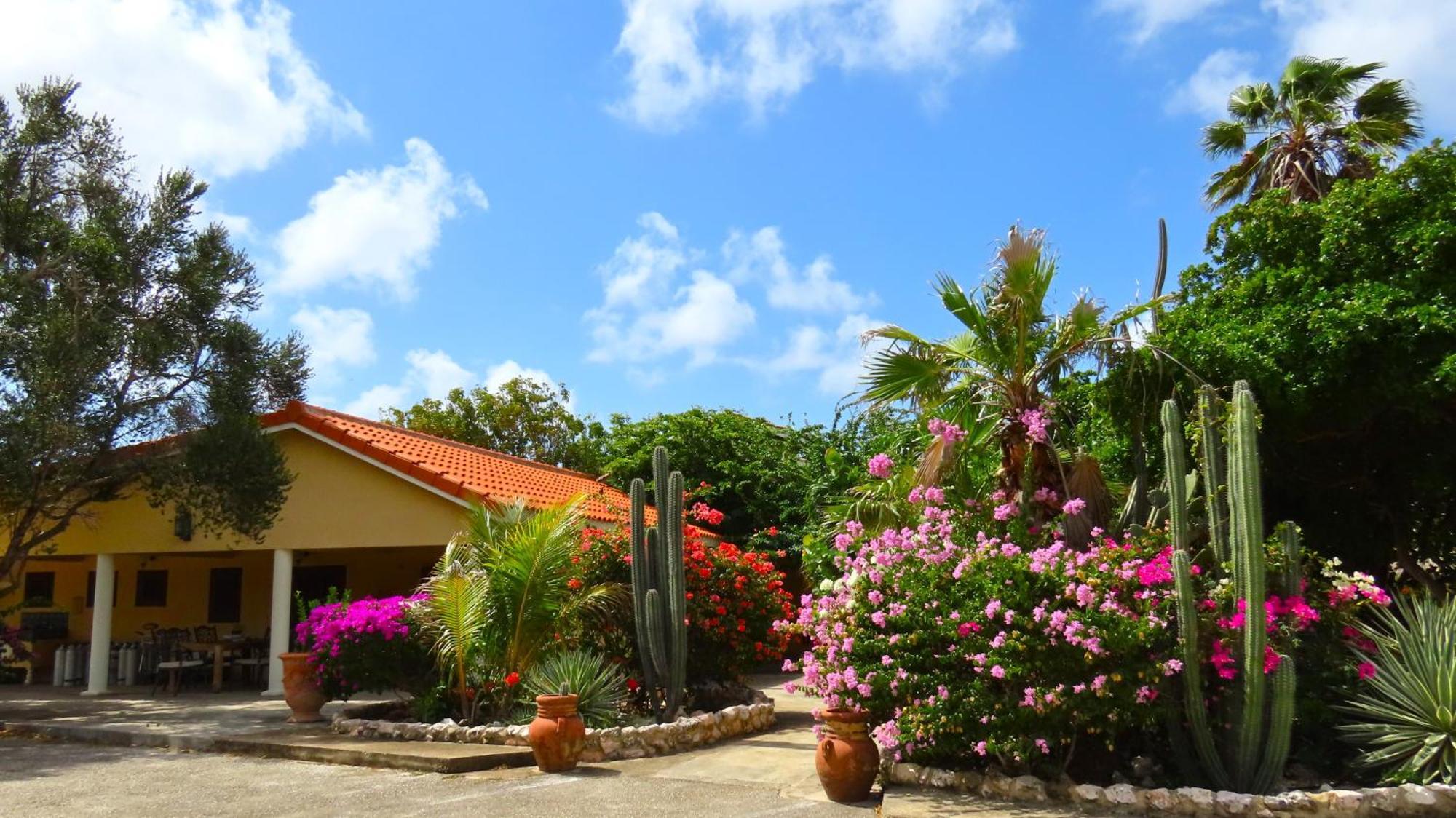 Lagun Blou Resort Curacao Dış mekan fotoğraf