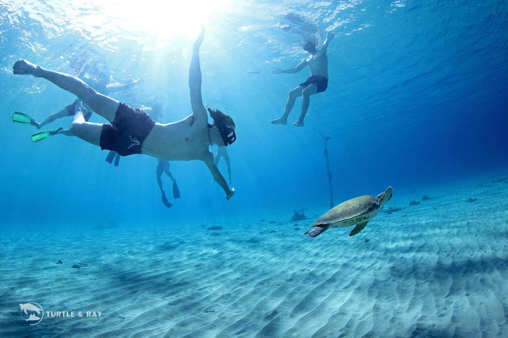 Lagun Blou Resort Curacao Dış mekan fotoğraf