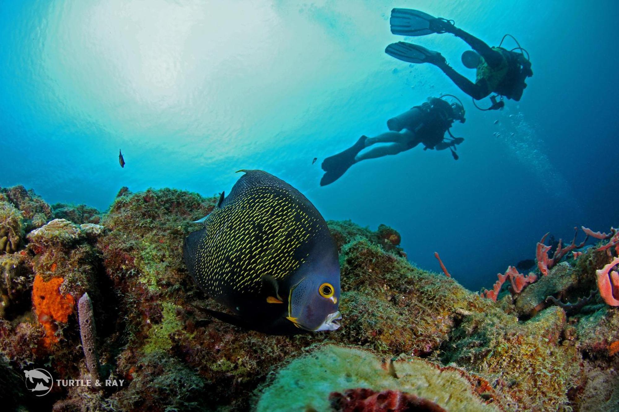 Lagun Blou Resort Curacao Dış mekan fotoğraf