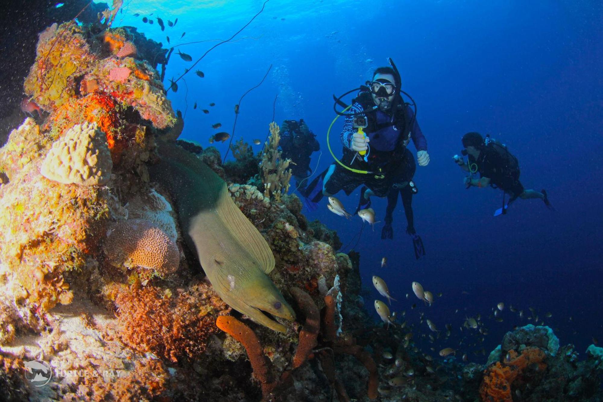 Lagun Blou Resort Curacao Dış mekan fotoğraf