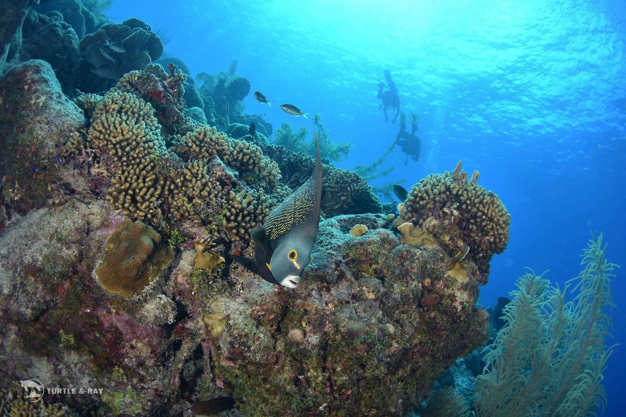 Lagun Blou Resort Curacao Dış mekan fotoğraf